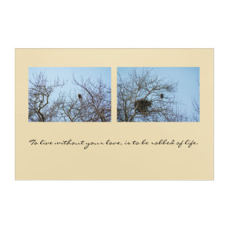 Life Partners Acrylic Print