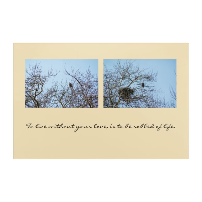 Life Partners Acrylic Print (Front)