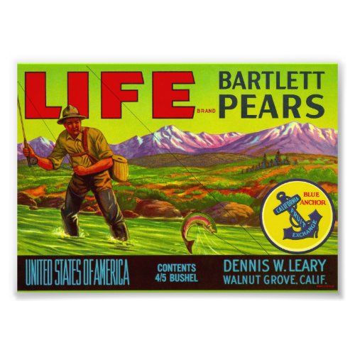 Life Pears packing label Photo Print
