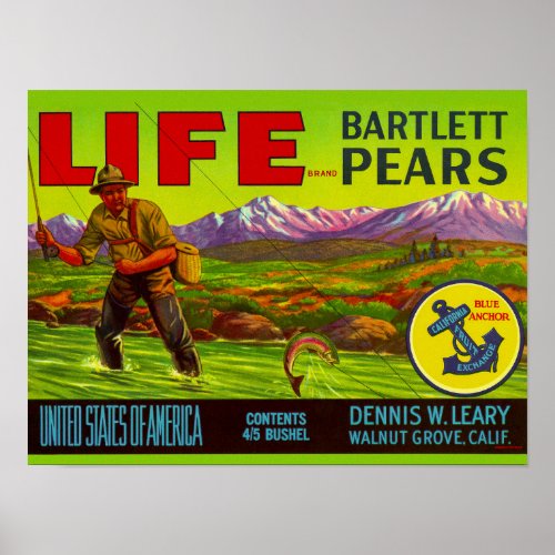Life Pears packing label Poster