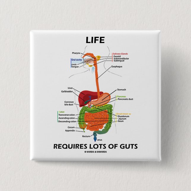 Life Requires Lots Of Guts (Digestive System) Button (Front)