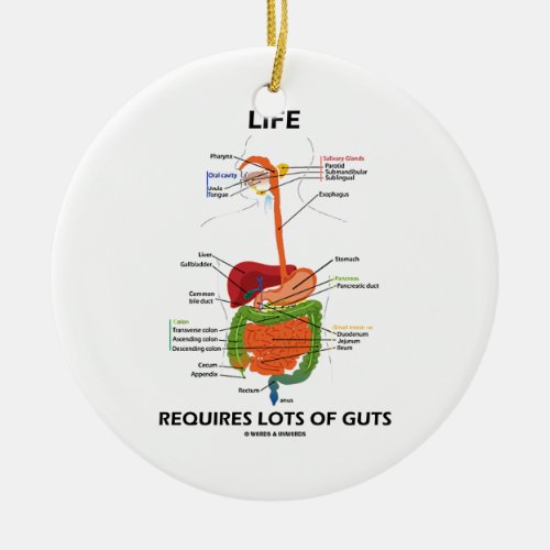 Life Requires Lots Of Guts Digestive System Ceramic Ornament