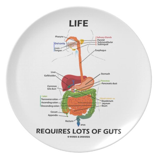 Life Requires Lots Of Guts (Digestive System) Dinner Plate