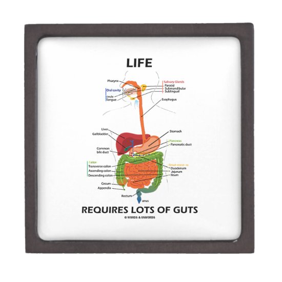 Life Requires Lots Of Guts (Digestive System) Gift Box