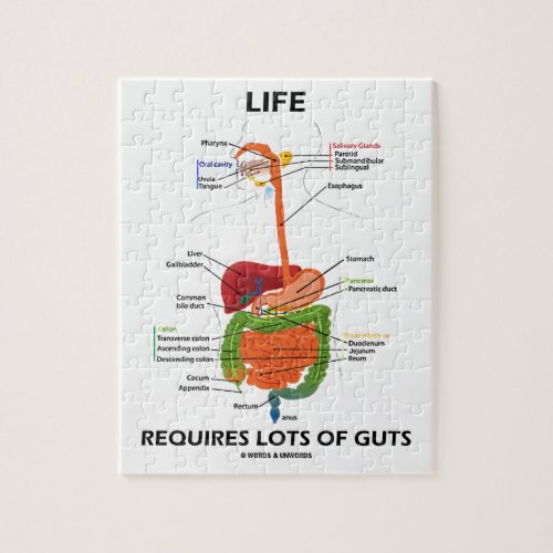 Life Requires Lots Of Guts Digestive System Jigsaw Puzzle