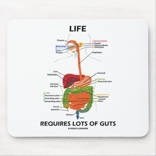 Life Requires Lots Of Guts Digestive System Mouse Pad