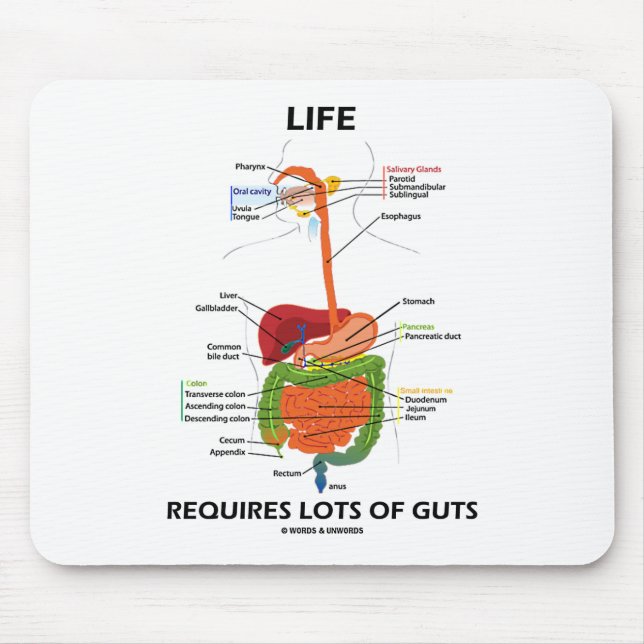 Life Requires Lots Of Guts (Digestive System) Mouse Pad (Front)