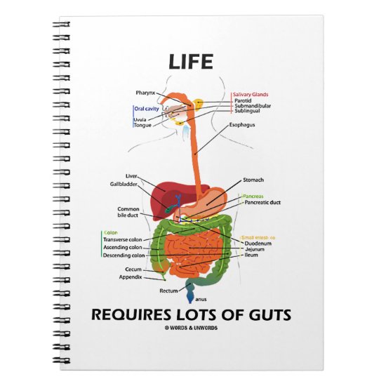 Life Requires Lots Of Guts (Digestive System) Notebook