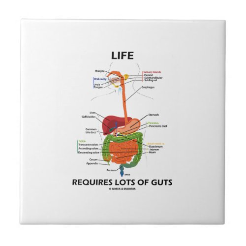 Life Requires Lots Of Guts Digestive System Tile