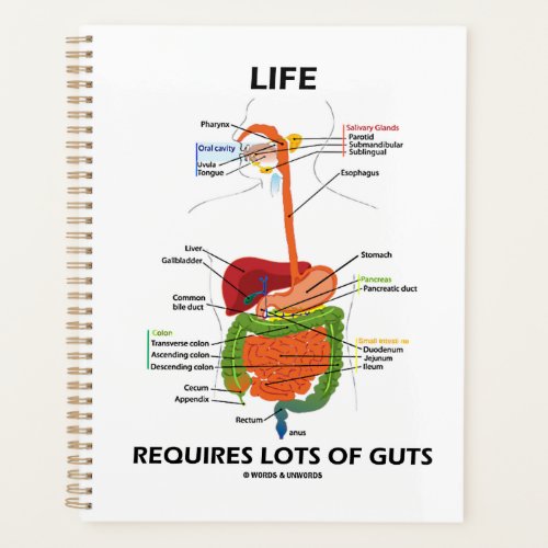 Life Requires Lots Of Guts Gastroenterology Humor Planner