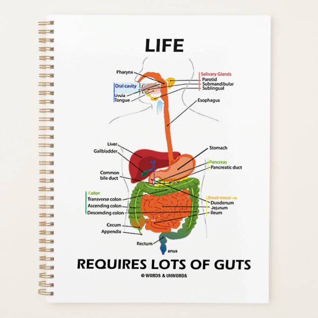 Life Requires Lots Of Guts Gastroenterology Humor Planner (Front)