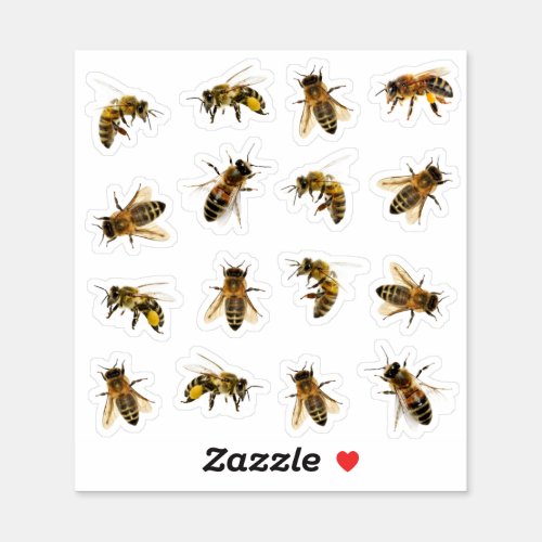 Life size Realistic Honeybees Transparent or White Sticker