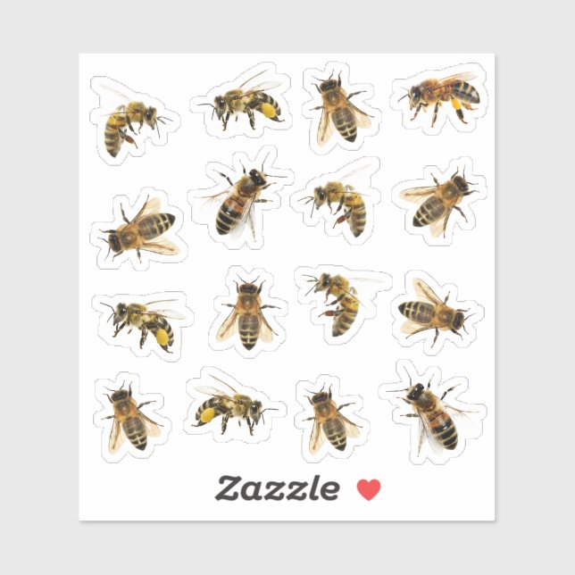 Life size Realistic Honeybees Transparent or White Sticker (Sheet)