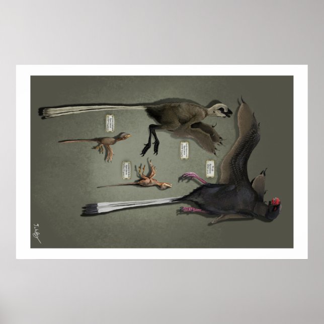 Life Size Sansoriopterygids Poster (Front)