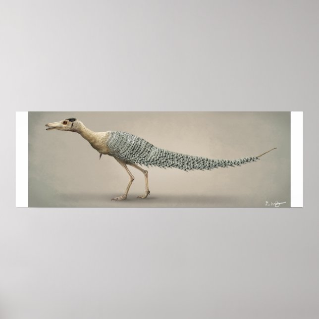 Life Size Shuvuuia Poster (Front)