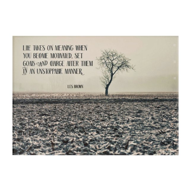 Life Takes On Meaning Acrylic Print (Front)