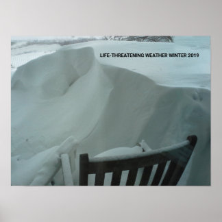 LIFE THREATENING WEATHER WINTER 2019 POSTER