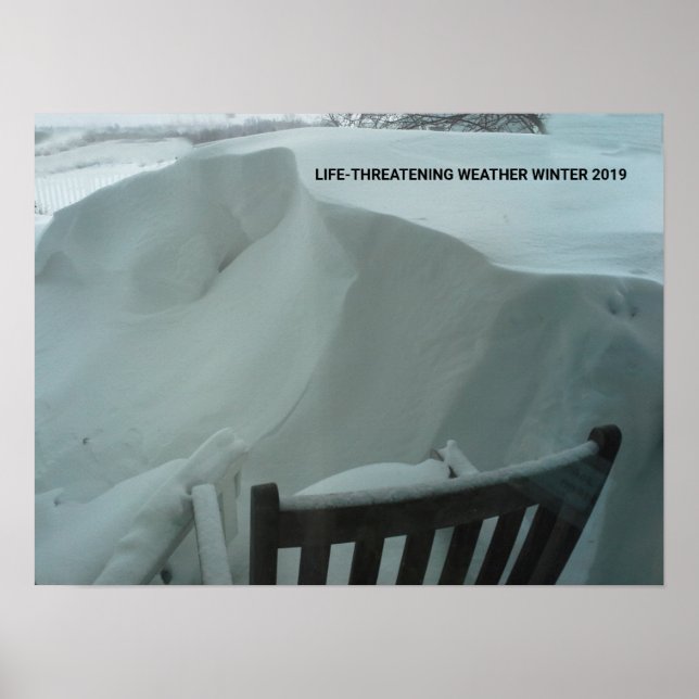 LIFE THREATENING WEATHER WINTER 2019 POSTER (Front)
