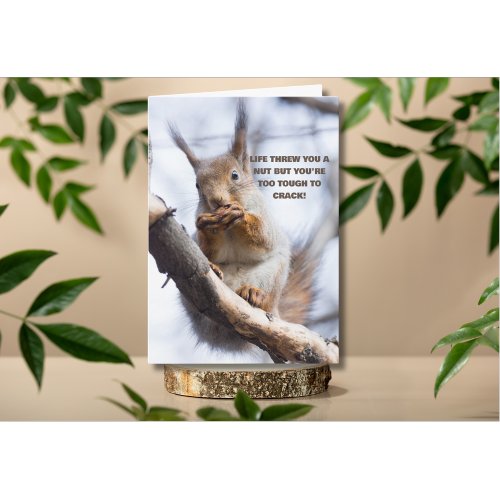 Life Threw You A Nut Cute Squirrel Get Well Card