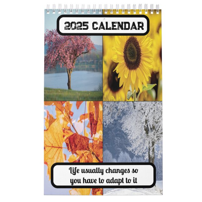 Life usually changes so you have to adapt 2025  calendar (Cover)