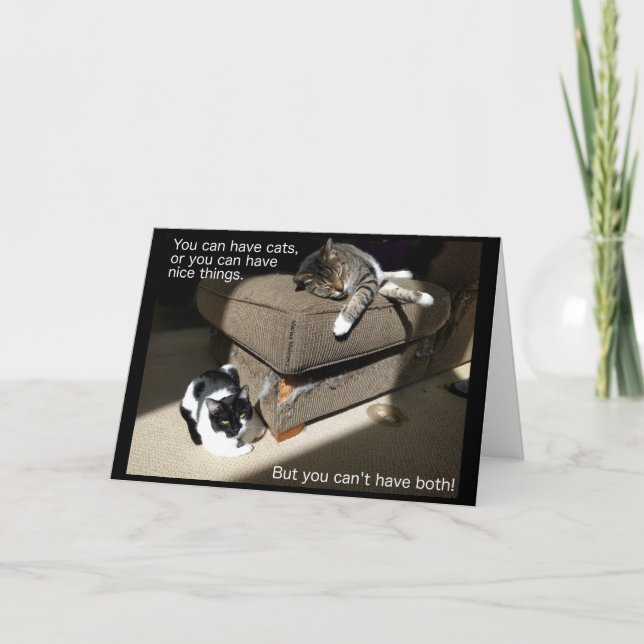 Life with Cats Card (Front)