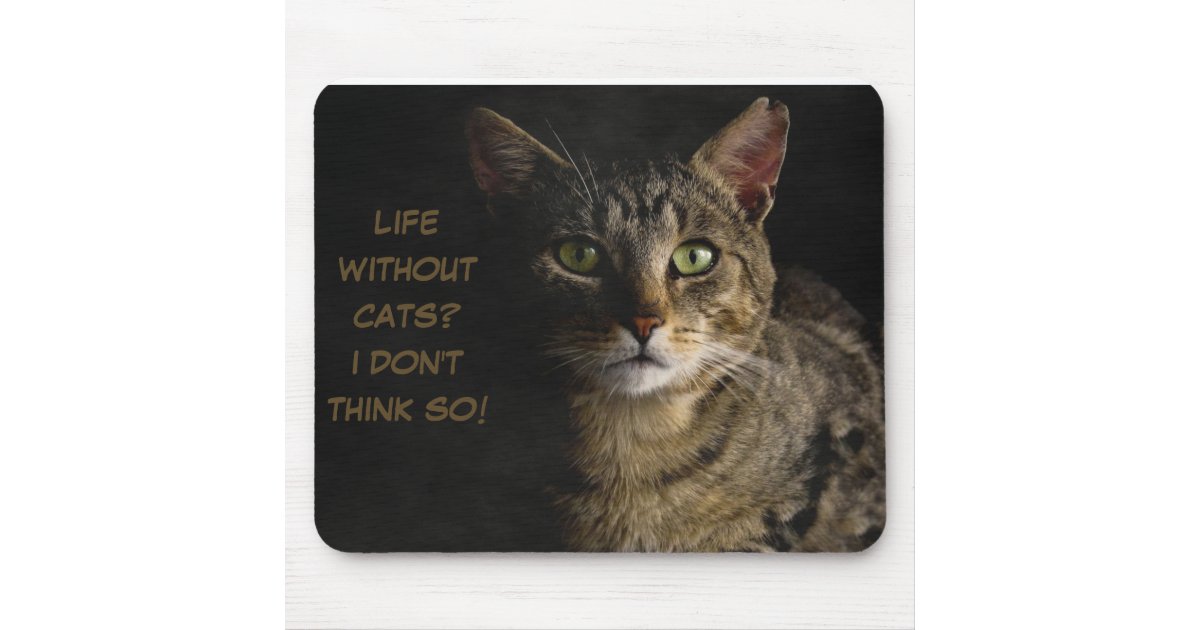 Life Without Cats I Dont Think So Custom Funny Mouse Pad Zazzle