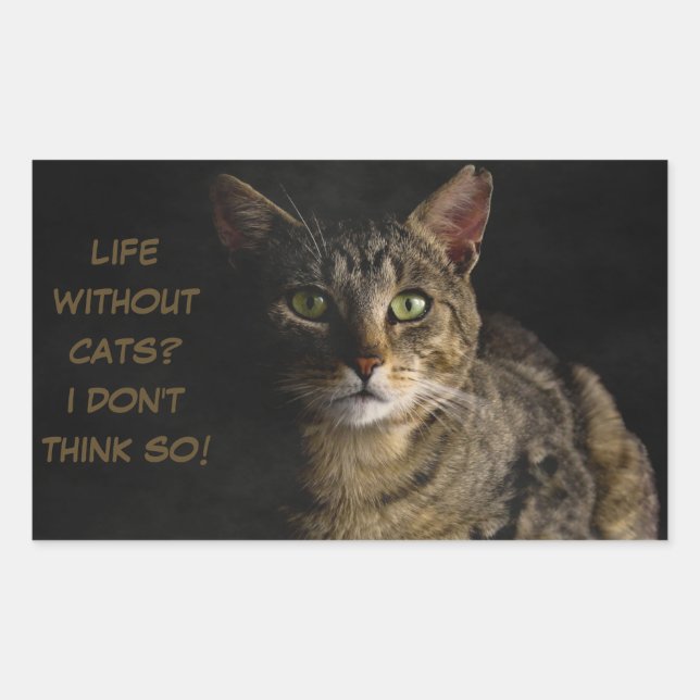 Life without cats? I don’t think so! custom funny Rectangular Sticker (Front)