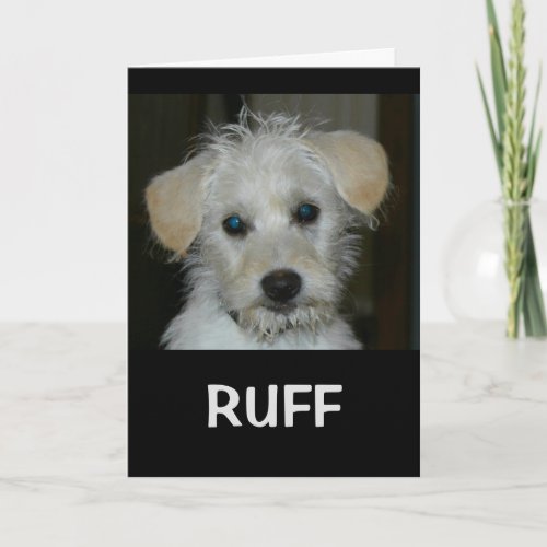 Life Would Be RUFF Without A Friend Like You Card