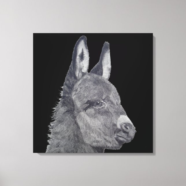lifelike pencil drawing of cute donkey canvas print (Front)