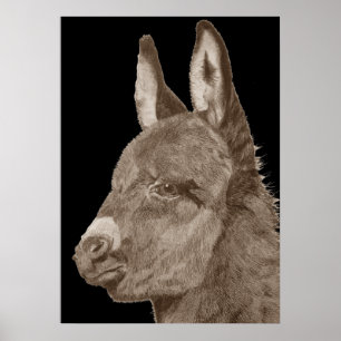 lifelike pencil drawing of cute donkey poster