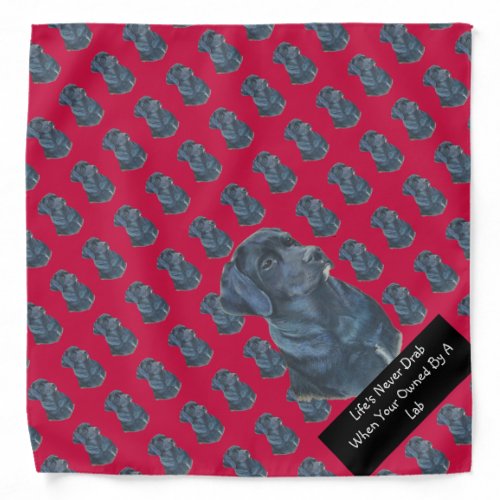 lifelike portrait picture of black labrador dog bandana