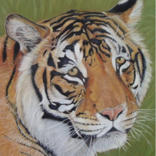 lifelike wildlife portrait of tiger big cat jigsaw puzzle