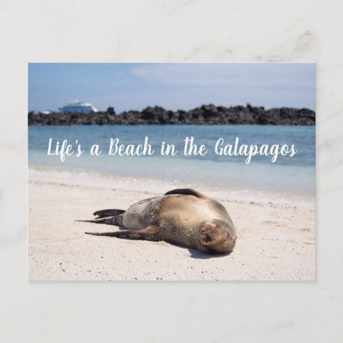 Lifes a Beach in the Galapagos Postcard