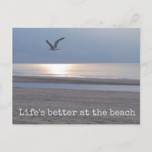 Lifes better at the beach _ Fun Quote Postcard