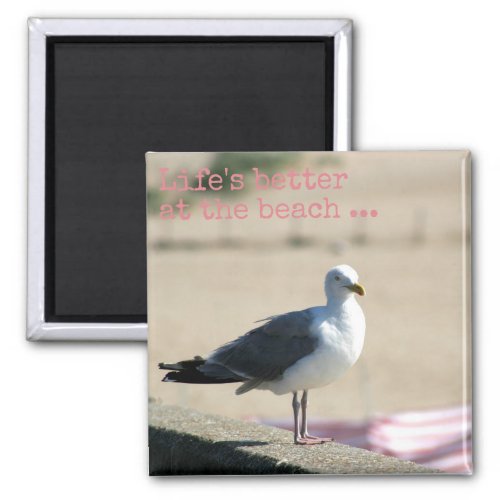 Lifes better at the beach _ Seagull Magnet