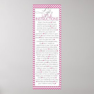 Lifes Little Instructions (pink) Poster