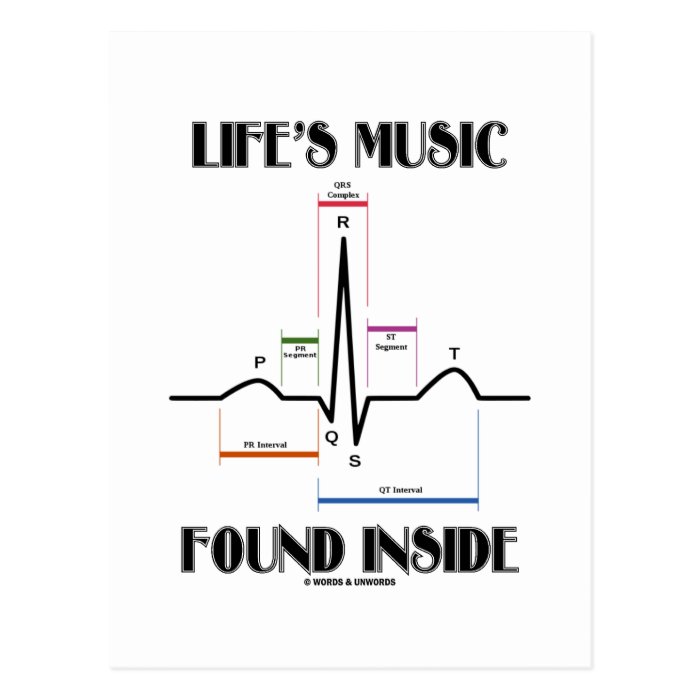 Life's Music Found Inside (ECG/EKG Heartbeat) Post Card