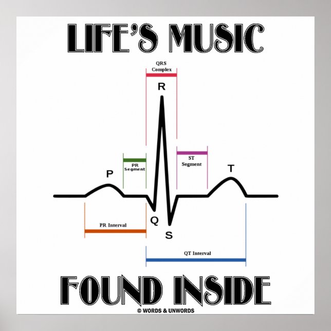 Life's Music Found Inside (ECG/EKG Heartbeat) Poster (Front)