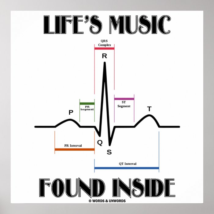 Life's Music Found Inside (ECG/EKG Heartbeat) Print