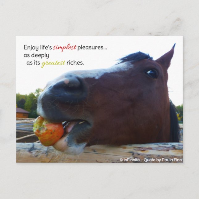 Life's simplest pleasures... postcard (Front)