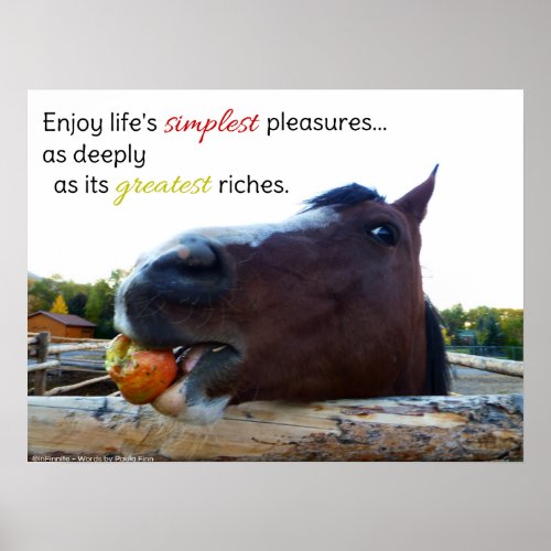 Lifes Simplest Pleasures Poster