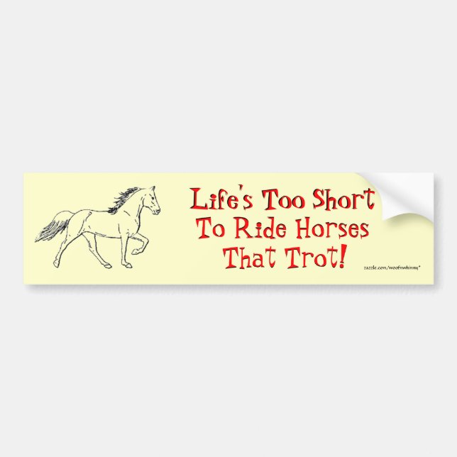 Life's Too Short Bumper Sticker (Front)