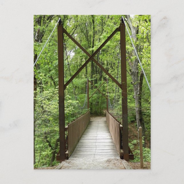 Life's Transitions Postcard (Front)