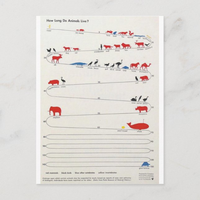 Lifespan of Animals Postcard (Front)