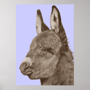 liflike drawing of cute donkey poster