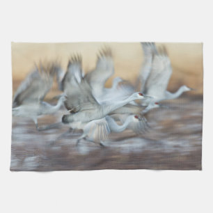 Lift off of  Sandhill  Cranes Kitchen Towel