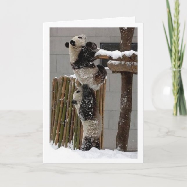 lift panda card (Front)