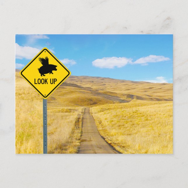 Lift Up Your Eyes For Pigs May Fly Postcard (Front)