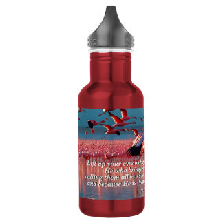 Lift Up Your Eyes on High, God & Creation Verse Stainless Steel Water Bottle
