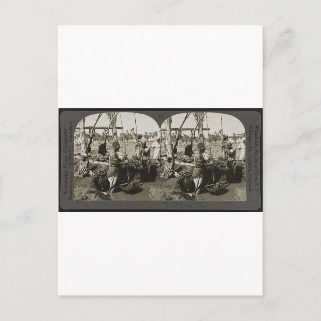 Lifting Water out of the Nile in Egypt circa 1928 Postcard (Front)